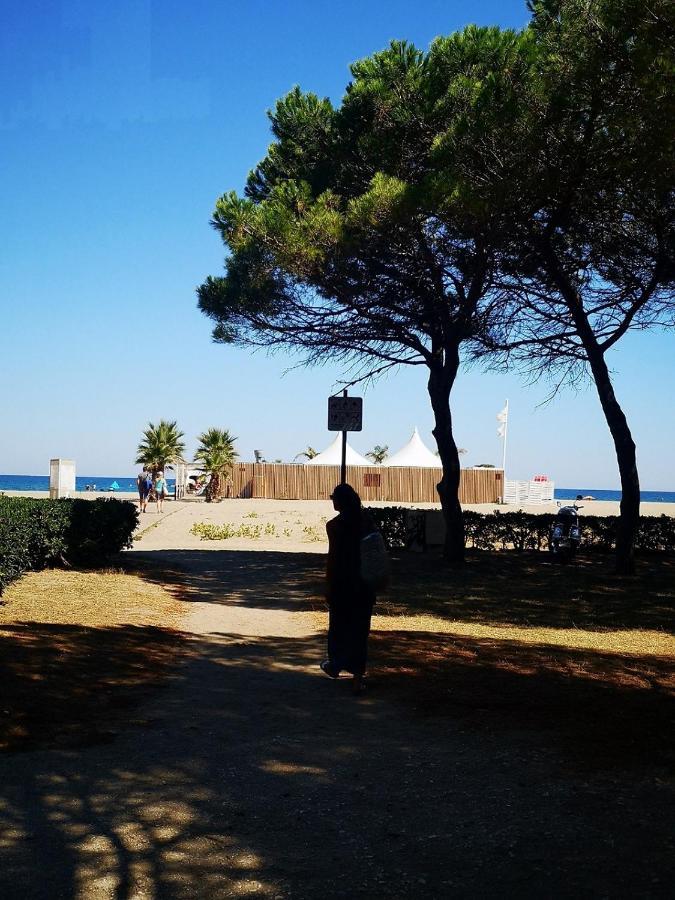 Charmant T2 Terrasse, Bord De Mer Argelès-sur-Mer Exteriér fotografie